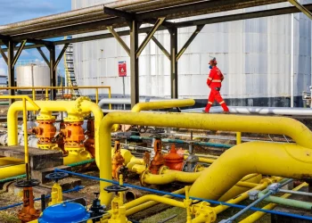 PetroReconcavo oferece estágios para estudantes de nível técnico e universitários no RN