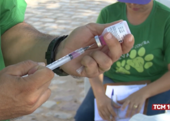 Vacinação antirrábica em Mossoró contará com cinco pontos extras nesta sexta e três no sábado