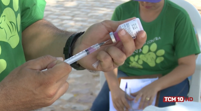 Vacinação antirrábica em Mossoró contará com cinco pontos extras nesta sexta e três no sábado