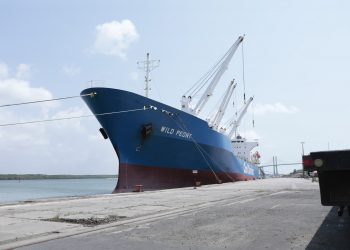 Comércio exterior do RN movimenta quase US$ 1 bilhão até agosto de 2024, com alta de 12% nas exportações