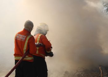 Corpo de Bombeiros do RN envia equipe para combater incêndios na fronteira Brasil-Bolívia