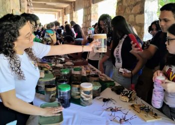 UERN promove Feira das Profissões em setembro, com atividades multicampi para estudantes do ensino médio