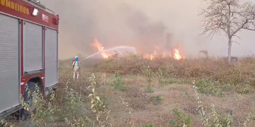 Combate a incêndio na BR-405 dura 7 horas em Apodi