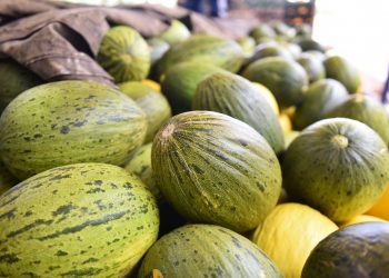 Comércio exterior do RN movimenta US$ 82,2 milhões em setembro, consolidando US$ 1,1 bilhão no acumulado de 2024