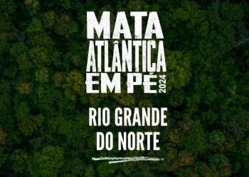 MPRN identifica desmatamento de 48 hectares na Mata Atlântica em operação nacional