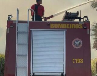 Corpo de Bombeiros do RN registra aumento de 15% nos incêndios em vegetação em 2024