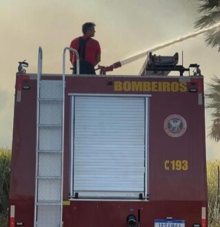 Corpo de Bombeiros do RN registra aumento de 15% nos incêndios em vegetação em 2024