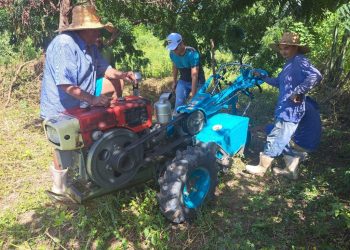 Apodi recebe pesquisadores internacionais para avançar parceria em agricultura familiar