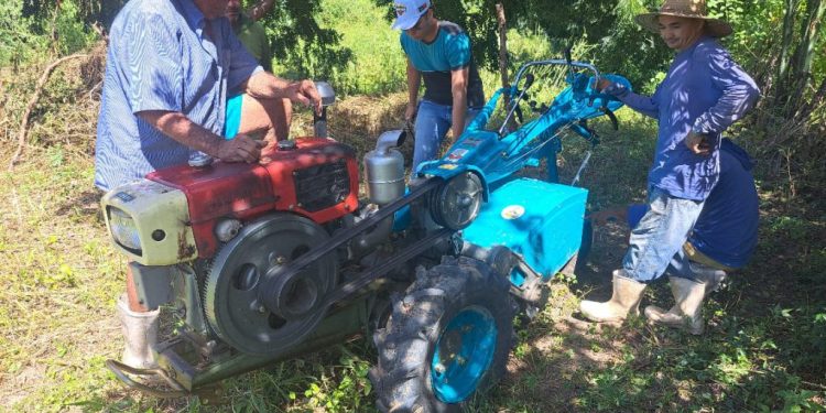 Apodi recebe pesquisadores internacionais para avançar parceria em agricultura familiar