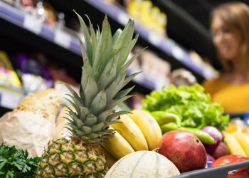 Governo do RN envia à Assembleia projeto de devolução de ICMS para famílias de baixa renda