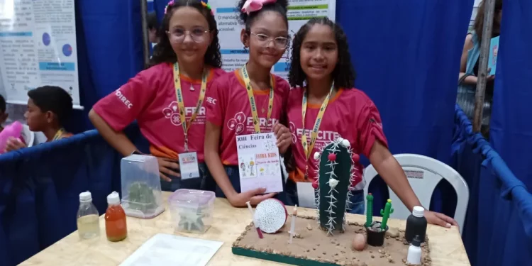 Feira de Ciências do Semiárido Potiguar acontece na Ufersa entre os dias 3 e 6 de dezembro