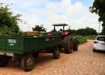 Prefeitura abre inscrições para cursos técnicos gratuitos em Fruticultura e Agropecuária