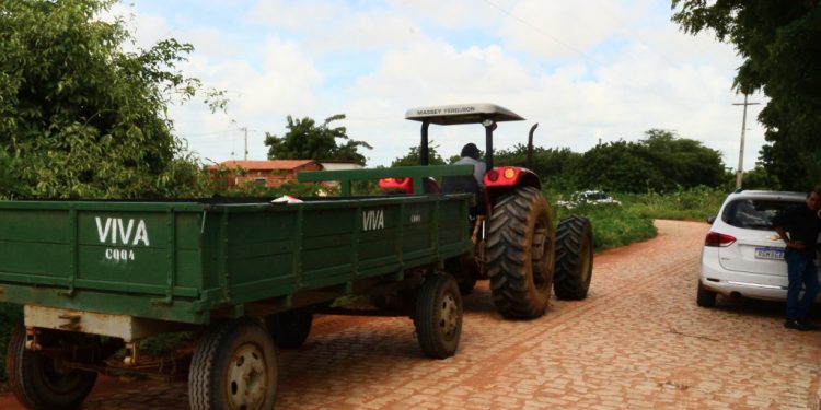 Prefeitura abre inscrições para cursos técnicos gratuitos em Fruticultura e Agropecuária