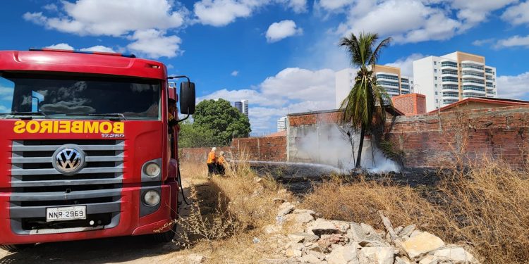 Incêndio atinge matagal em escola da rede estadual