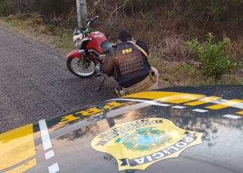 Motociclista empina moto em frente à viatura da PRF e é preso na BR-406