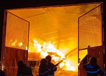 Incêndio destrói galpão de granja em Mossoró