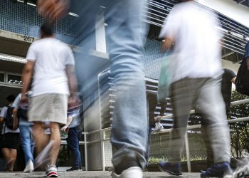 Concurso do Ibama terá 460 vagas com salários de R$ 9,9 mil