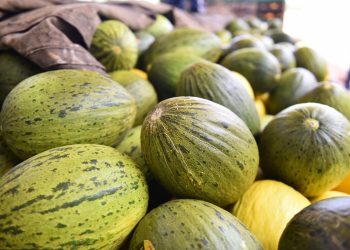 Exportações do Rio Grande do Norte crescem 42,6% em 2024 e atingem US$ 1,1 bilhão