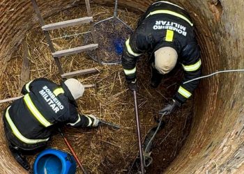 Raposa é resgatada de poço desativado pelo Corpo de Bombeiros