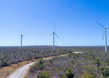 Usinas de energia solar e eólica geraram mais de 13 mil empregos no RN em 2024