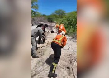 Polícia Civil prende suspeitos e encontra corpo enterrado em área de dunas em Porto do Mangue