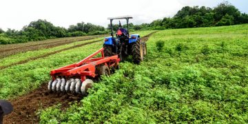 Prazo para adesão ao programa Semear 2025 encerra nesta sexta-feira (17)