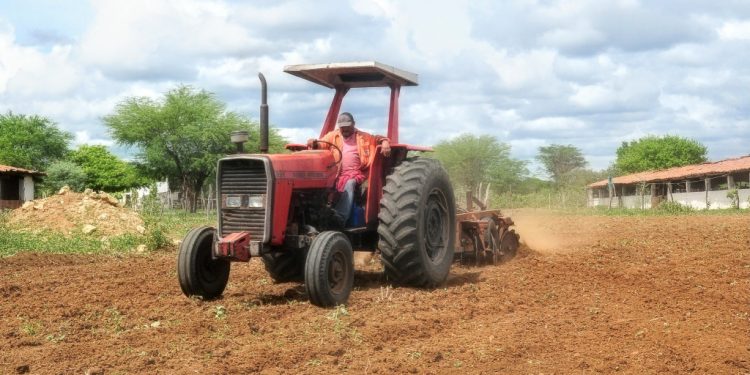 Prefeitura de Mossoró lança edição 2025 do programa Semear no próximo dia 22
