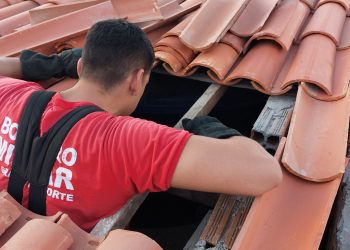 Bombeiros resgatam gata e quatro filhotes do teto de residência em Assú