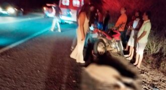 Adolescente de 15 anos morre em acidente com animal na BR-110