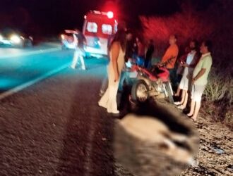 Adolescente de 15 anos morre em acidente com animal na BR-110
