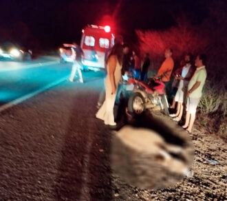 Adolescente de 15 anos morre em acidente com animal na BR-110