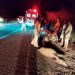 Adolescente de 15 anos morre em acidente com animal na BR-110