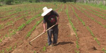 Dia de São José é celebrado com fé e esperança pelos agricultores
