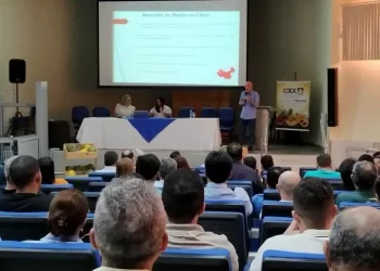 Exportações de melão do RN podem triplicar em três anos