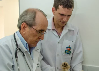 Ufersa realiza semana de comemoração aos 30 anos do curso de Medicina Veterinária