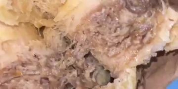 Estudante denuncia larva encontrada dentro de salgado na Uern