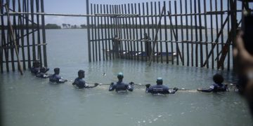 Projeto Cetáceos solta sexto peixe-boi na natureza