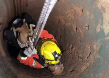 Bombeira entra em cisterna de 30 metros e resgata cachorro em Ceará-Mirim