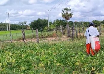 Apodi não alcança a meta de chuvas esperada para esta época do ano