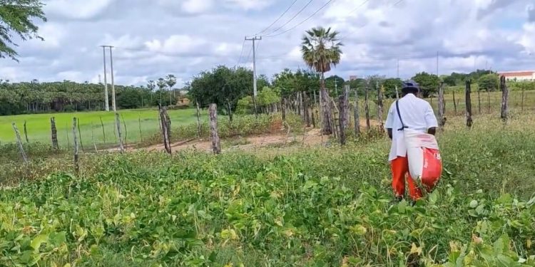 Apodi não alcança a meta de chuvas esperada para esta época do ano