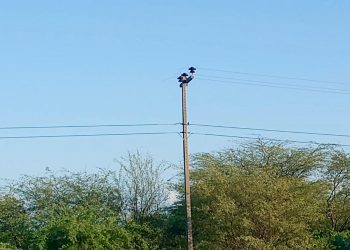 Criminosos furtam 900 metros de cabos de rede elétrica entre Areia Branca e Mossoró