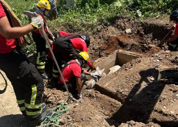 Bombeiros resgatam cavalo que caiu em bueiro no Bairro Belo Horizonte
