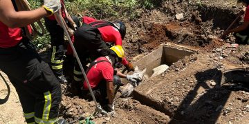 Bombeiros resgatam cavalo que caiu em bueiro no Bairro Belo Horizonte