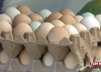 Preço do ovo e outros alimentos deve cair após a Páscoa, diz ministro