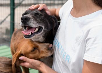 Abertas inscrições para audiência que debaterá proteção animal e ressocialização de apenados em Mossoró