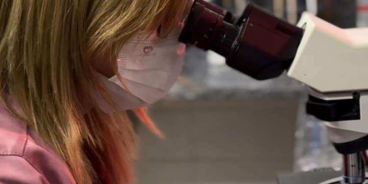 Pesquisa desenvolvida na Uern trata casos de coinfecção entre HIV e doença de Chagas