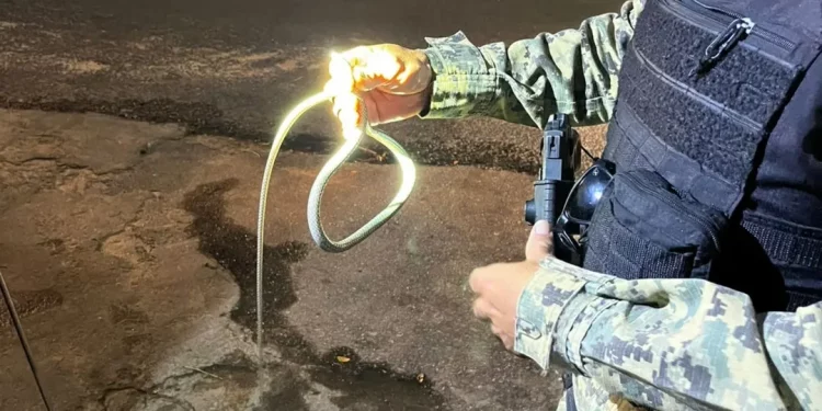 Pelotão Ambiental da Guarda Municipal retira serpente de veículo em Mossoró