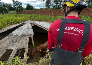 Bombeiros realizam resgate de duas éguas presas em cisterna na zona rural de Mossoró