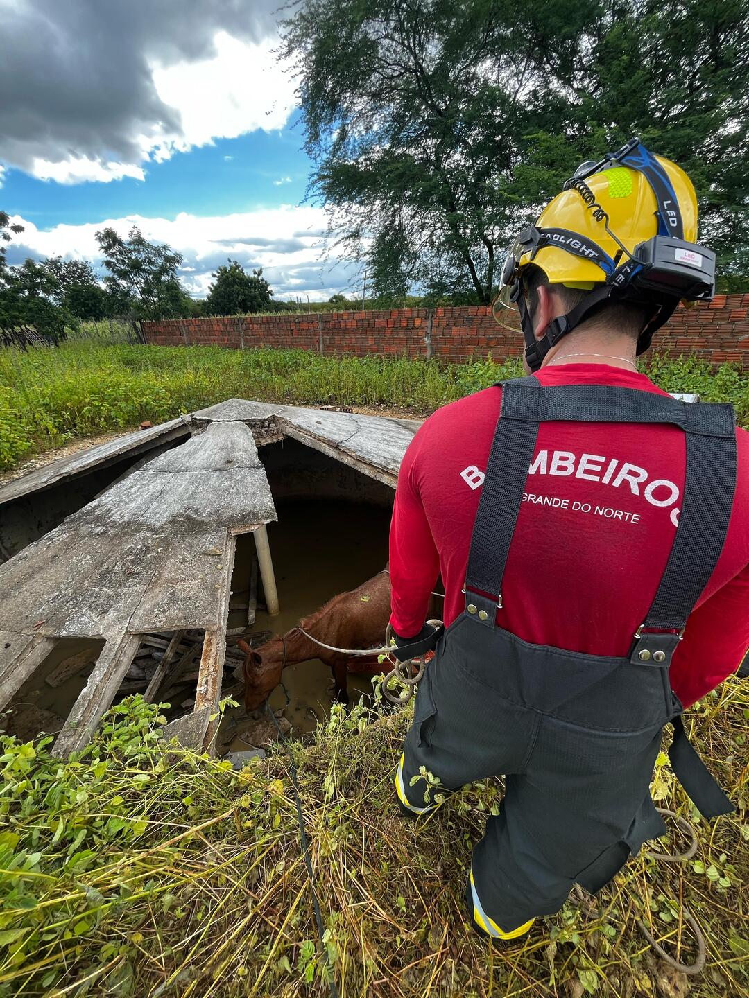 Bombeiros realizam resgate de duas éguas presas em cisterna na zona rural de Mossoró