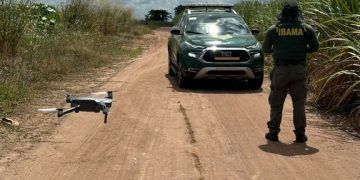 Ibama aplica quase R$ 2 milhões em multas e embarga área da Mata Atlântica no Rio Grande do Norte